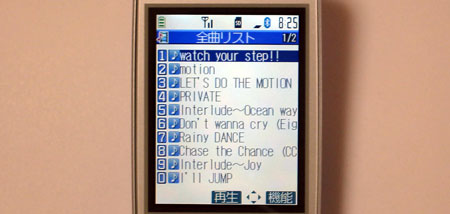 SD-Audio再生中