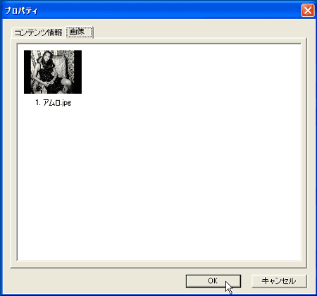 ジャケット写真が入った